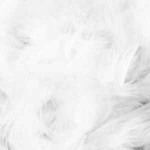 Meet your Posher, Lizeth